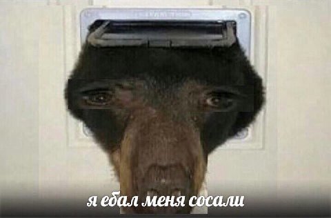 i 3 я ебал меня сосали