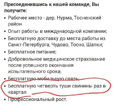 Присоединившись к нашей команде, Вы получите: Рабочее место дер. Нурма, Тосненский район Опыт работы в международной компании; Бесплатную доставку до места работы Санкт-Петербурга, Чудово, Тосно, Шапк