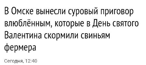Love is... скормить свиньям фермера