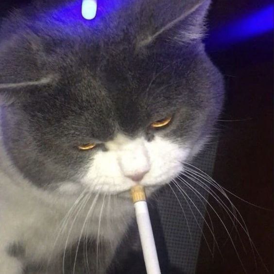 who