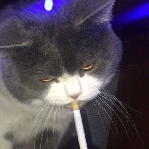 who