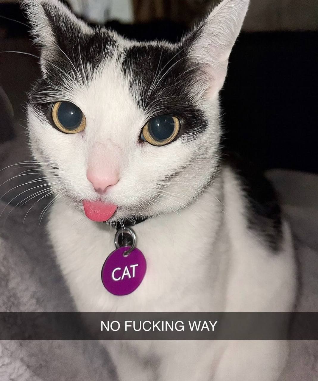 и NO FUCKING WAY