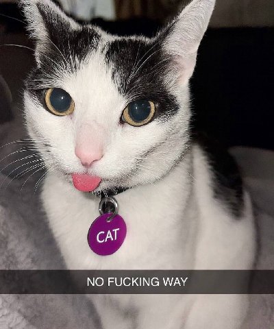 и NO FUCKING WAY