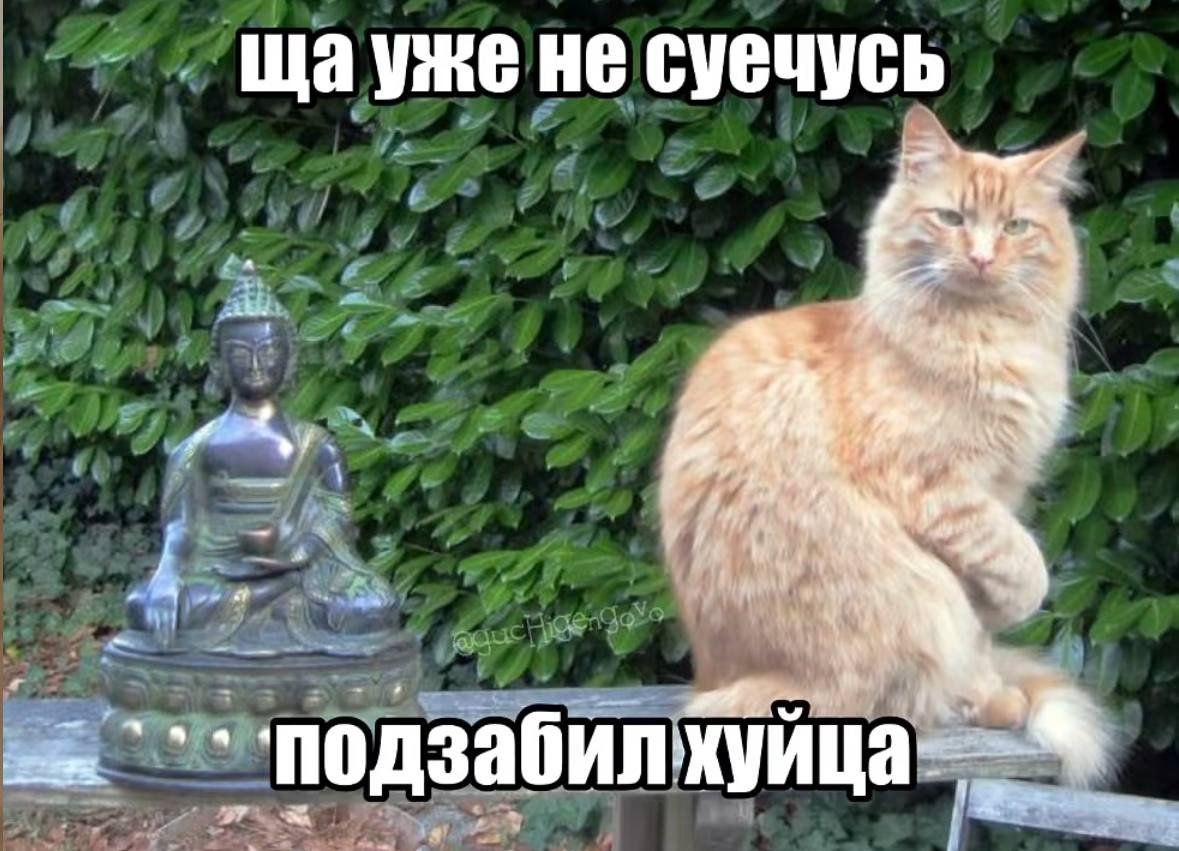 щауже HE суечусь AN a `‘подзабил
