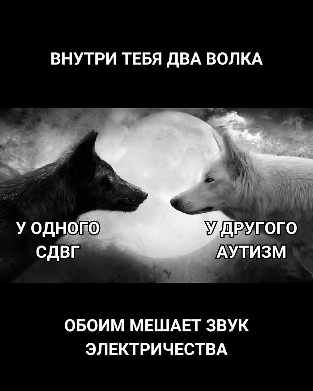 ВНУТРИ ТЕБЯ ДВА ВОЛКА И у одного УДДРУГОГО СДВГ АУТИЗМ ОБОИМ МЕШАЕТ ЗВУК ЭЛЕКТРИЧЕСТВА