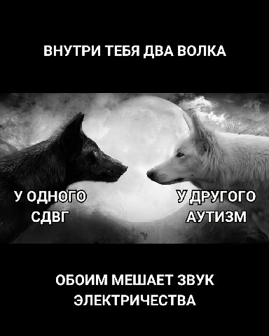 ВНУТРИ ТЕБЯ ДВА ВОЛКА И у одного УДДРУГОГО СДВГ АУТИЗМ ОБОИМ МЕШАЕТ ЗВУК ЭЛЕКТРИЧЕСТВА