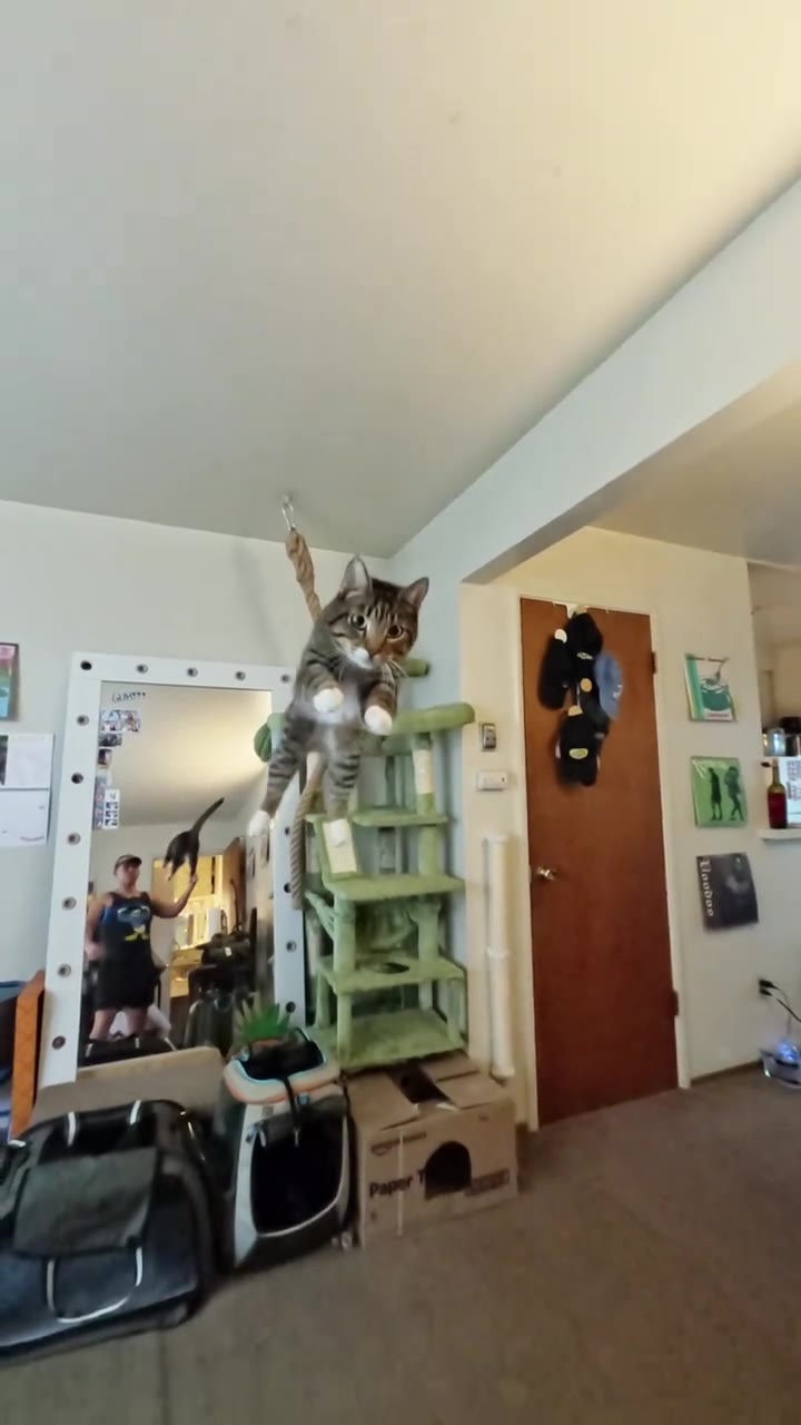 of