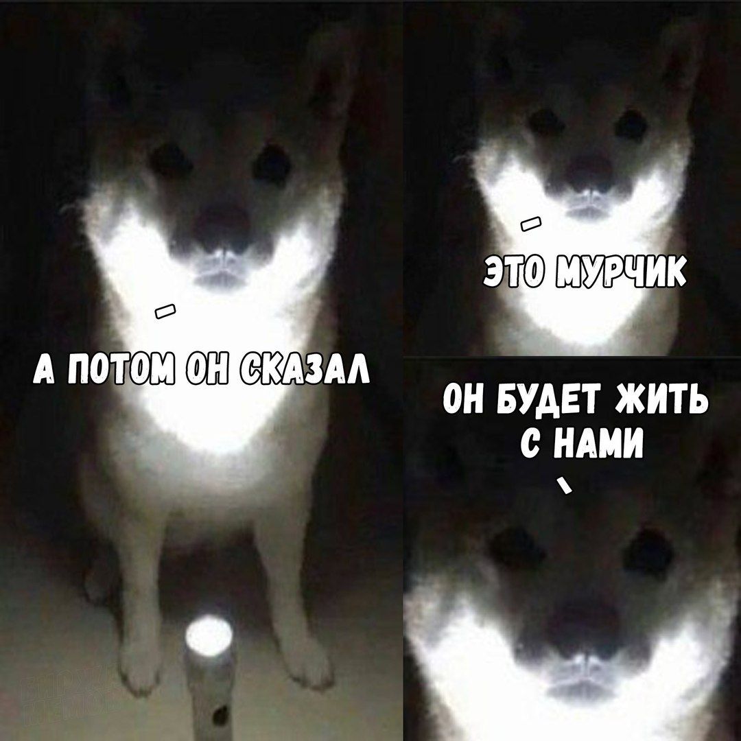 ЭТОМУРЧИК А ПОТОМОНИСКАЗАЛ ОН БУДЕТ ЖИТЬ С НАМИ
