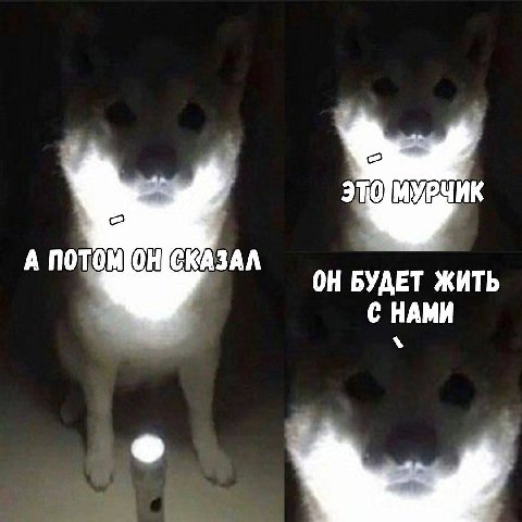 ЭТОМУРЧИК А ПОТОМОНИСКАЗАЛ ОН БУДЕТ ЖИТЬ С НАМИ