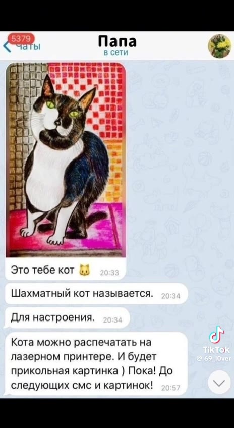 Это тебе кот Шахматный кот называется Для настроения. Кота можно распечатать на лазерном принтере. И будет прикольная картинка ) Пока! До следующих CMC и картинок!
