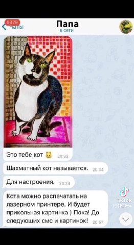 Это тебе кот Шахматный кот называется Для настроения. Кота можно распечатать на лазерном принтере. И будет прикольная картинка ) Пока! До следующих CMC и картинок!