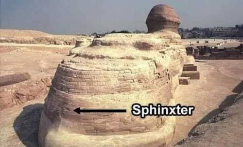 4 Sphinxter