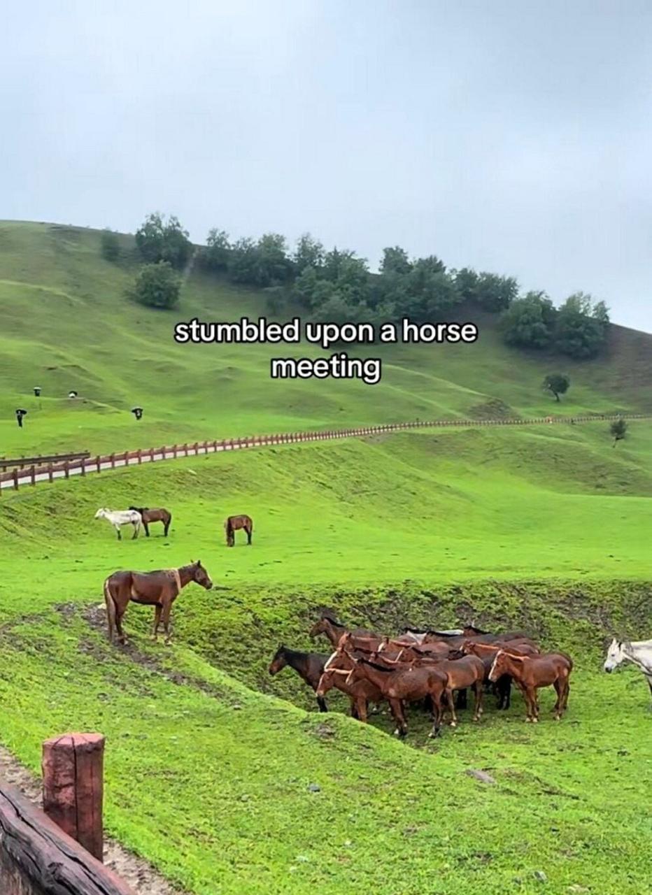 ‘stumbled upon ajhorse «2 kes у: 25