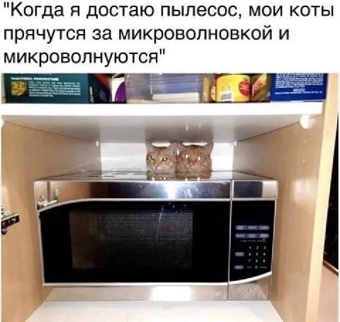 "Когда я достаю пылесос, мои коты прячутся за микроволновкой и микроволнуются"