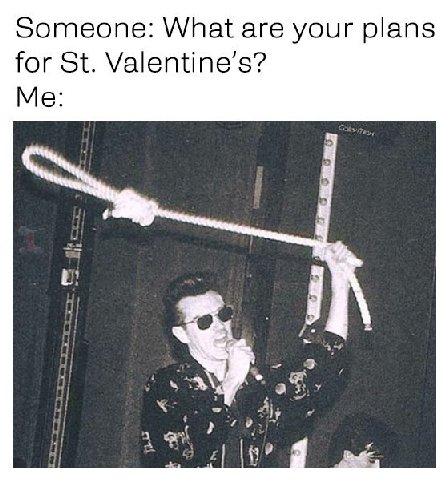 Someone: What are your plans for Valentine’s? Me: i У