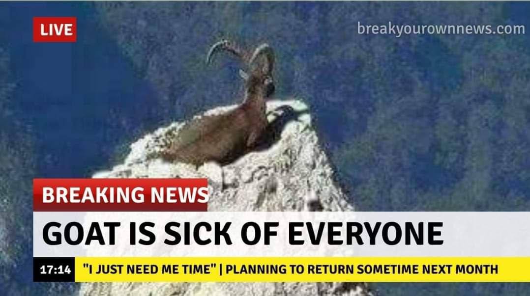 ИМЕ breakyourownnews.com at be BREAKING GOAT IS SICK OF EVERYONE "1 JUST NEED ME TIME" PLANNING TO RETURN SOMETIME NEXT MONTH
