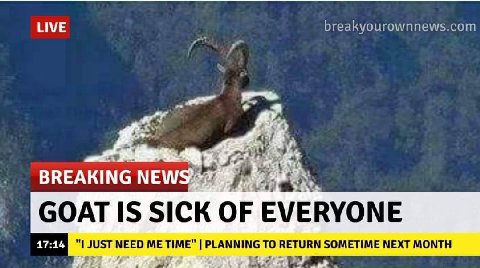 ИМЕ breakyourownnews.com at be BREAKING GOAT IS SICK OF EVERYONE "1 JUST NEED ME TIME" PLANNING TO RETURN SOMETIME NEXT MONTH
