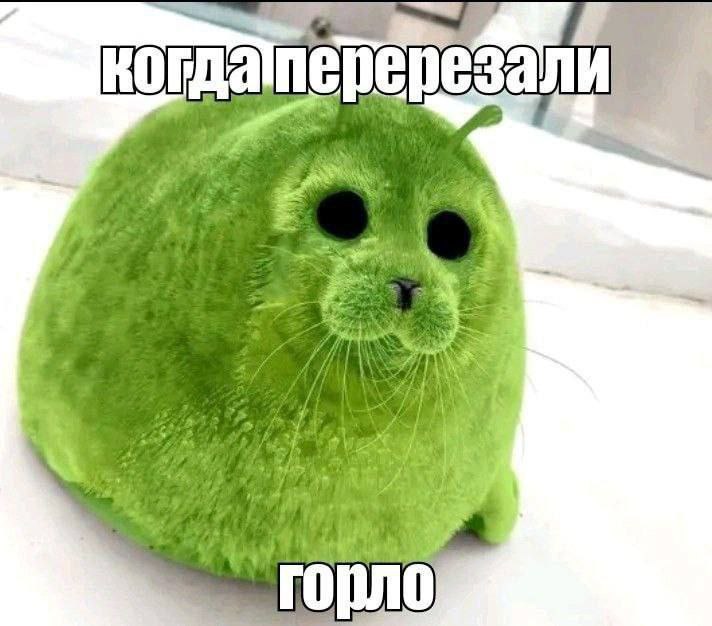 aml горло