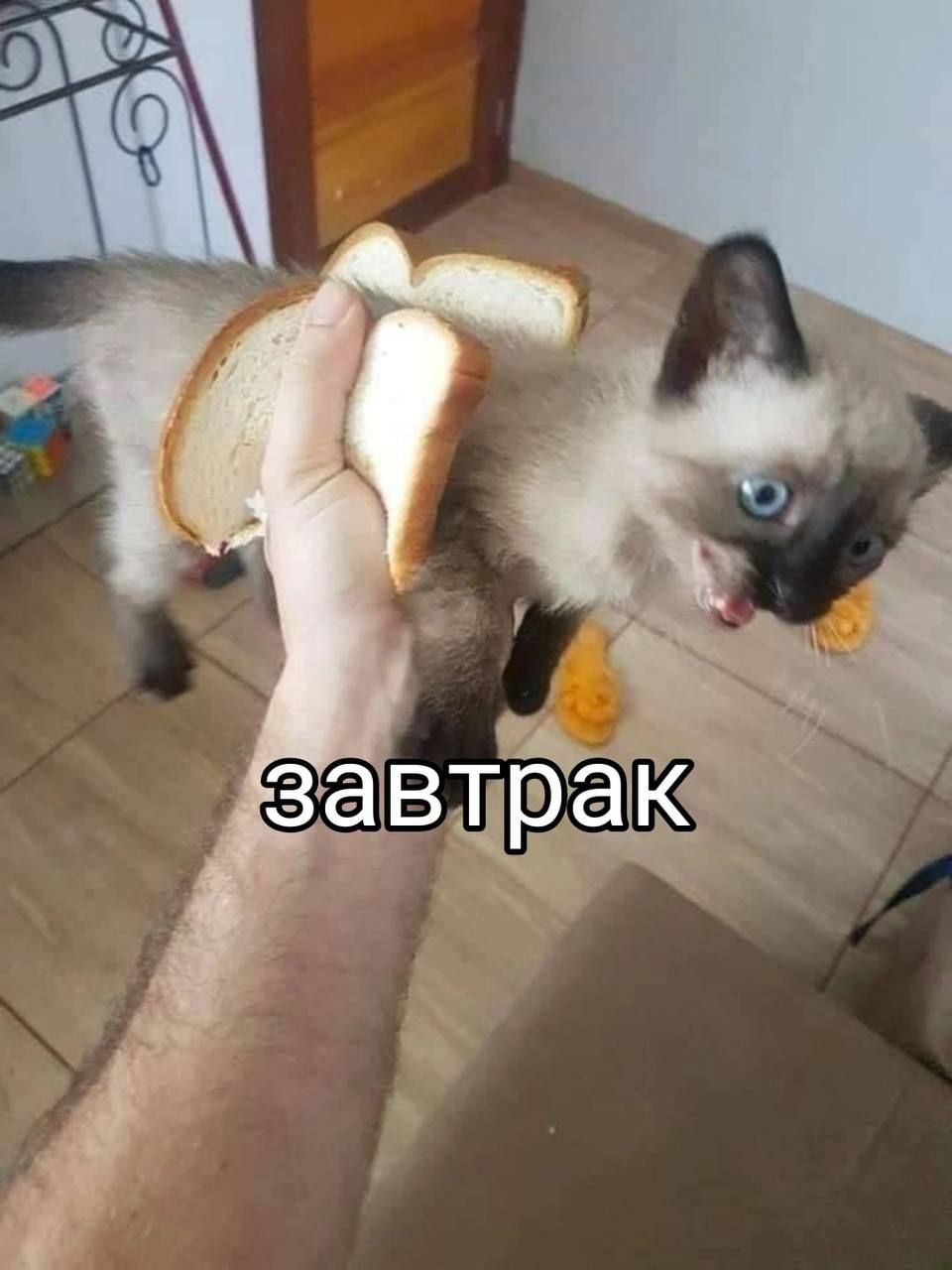 завтрак