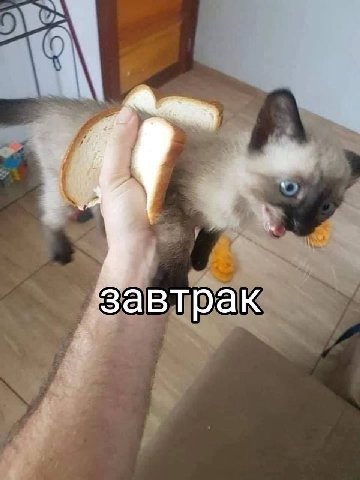 завтрак