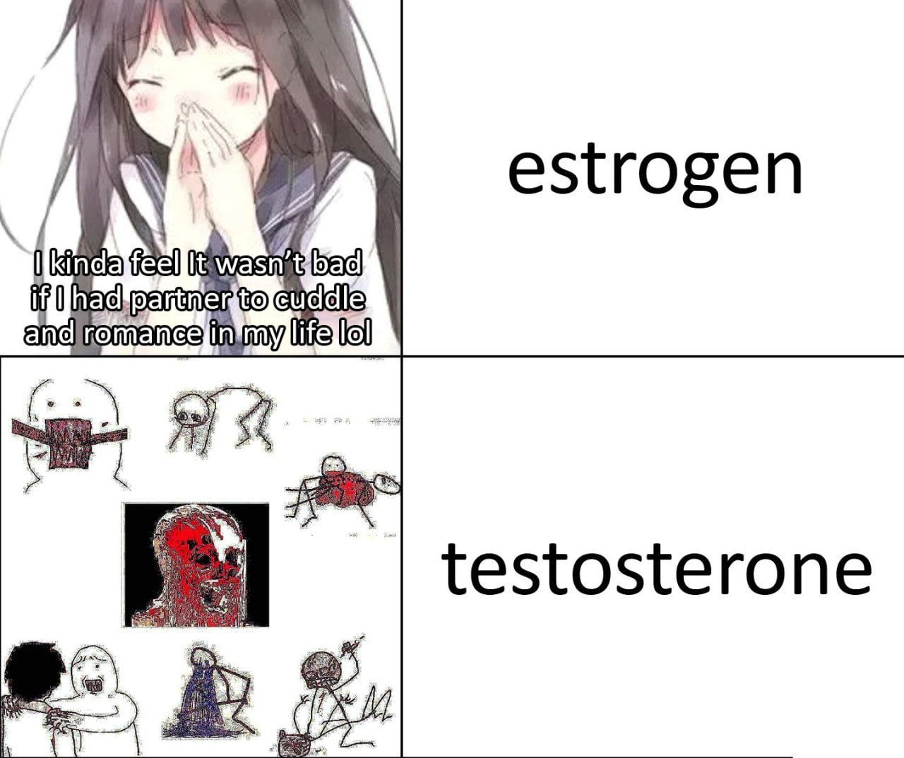 estrogen if to testosterone