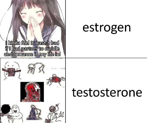 estrogen if to testosterone