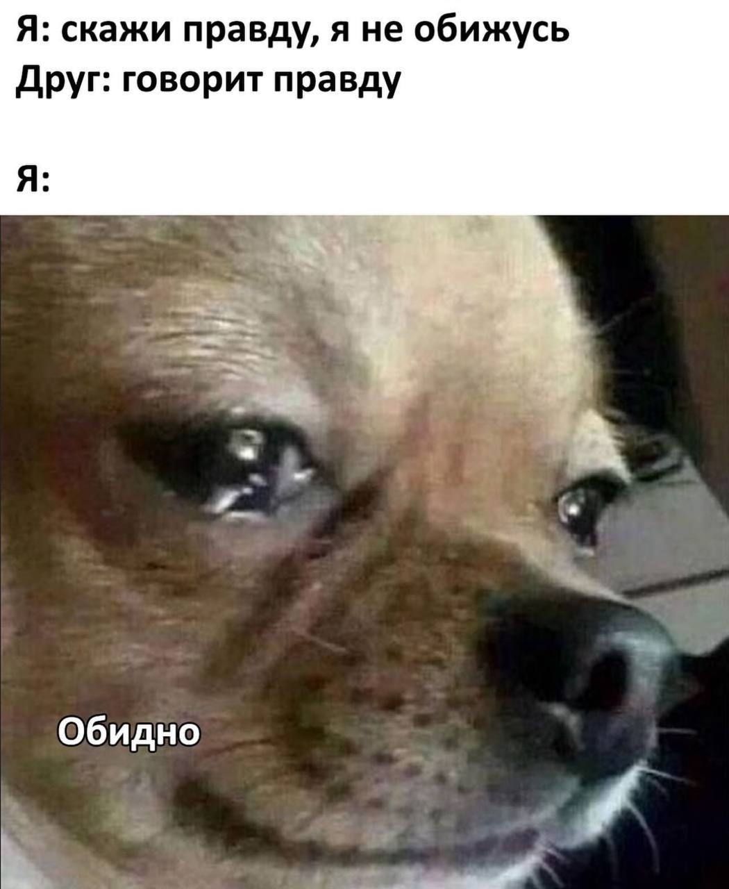 Я: скажи правду, я не обижусь Друг: говорит правду Я: Обидно