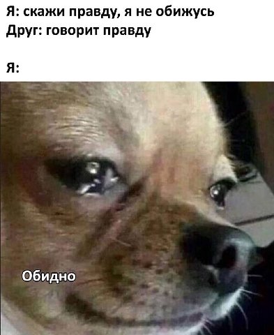 Я: скажи правду, я не обижусь Друг: говорит правду Я: Обидно