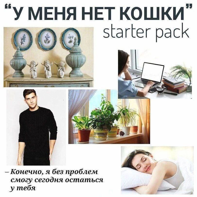 “УМЕНЯ НЕТ КОШКИ” starter pack 4 Конечно, я без проблем смогу сегодня остаться у тебя