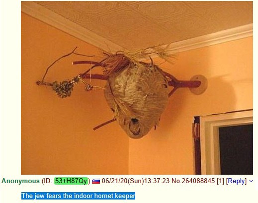 Anonymous 06/21/20(Sun)13:37:23 No.264088845 [1] [Reply] he jew fears the indoor hornet keepe