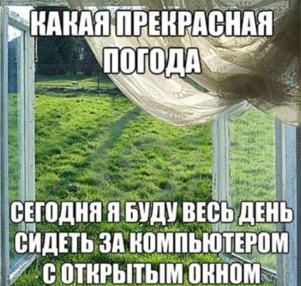 СЕГОДНЯ Я БУДУ ВЕСЬ ДЕНЬ СИДЕТЬ ЗА КОМПЬЮТЕРОМ