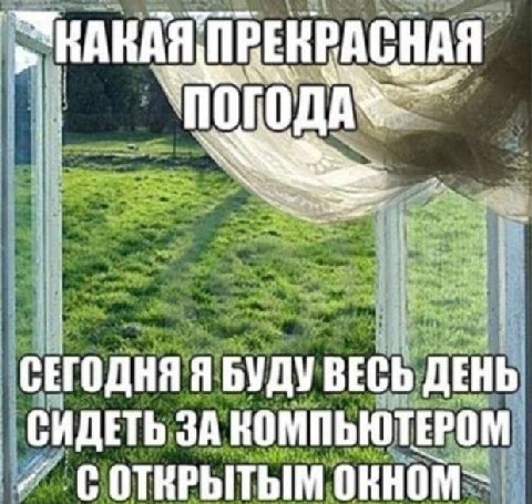 СЕГОДНЯ Я БУДУ ВЕСЬ ДЕНЬ СИДЕТЬ ЗА КОМПЬЮТЕРОМ