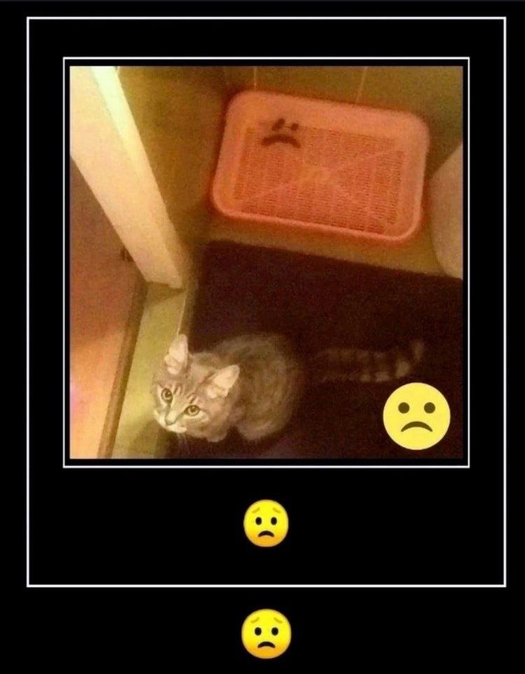 у