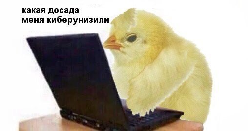какая досада меня киберунизили