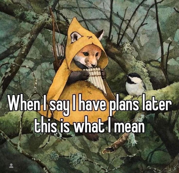 When say have plans later this is what mean