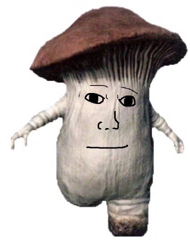 ЧТ ' > @ i С. id | » j р fs —_ } = > =