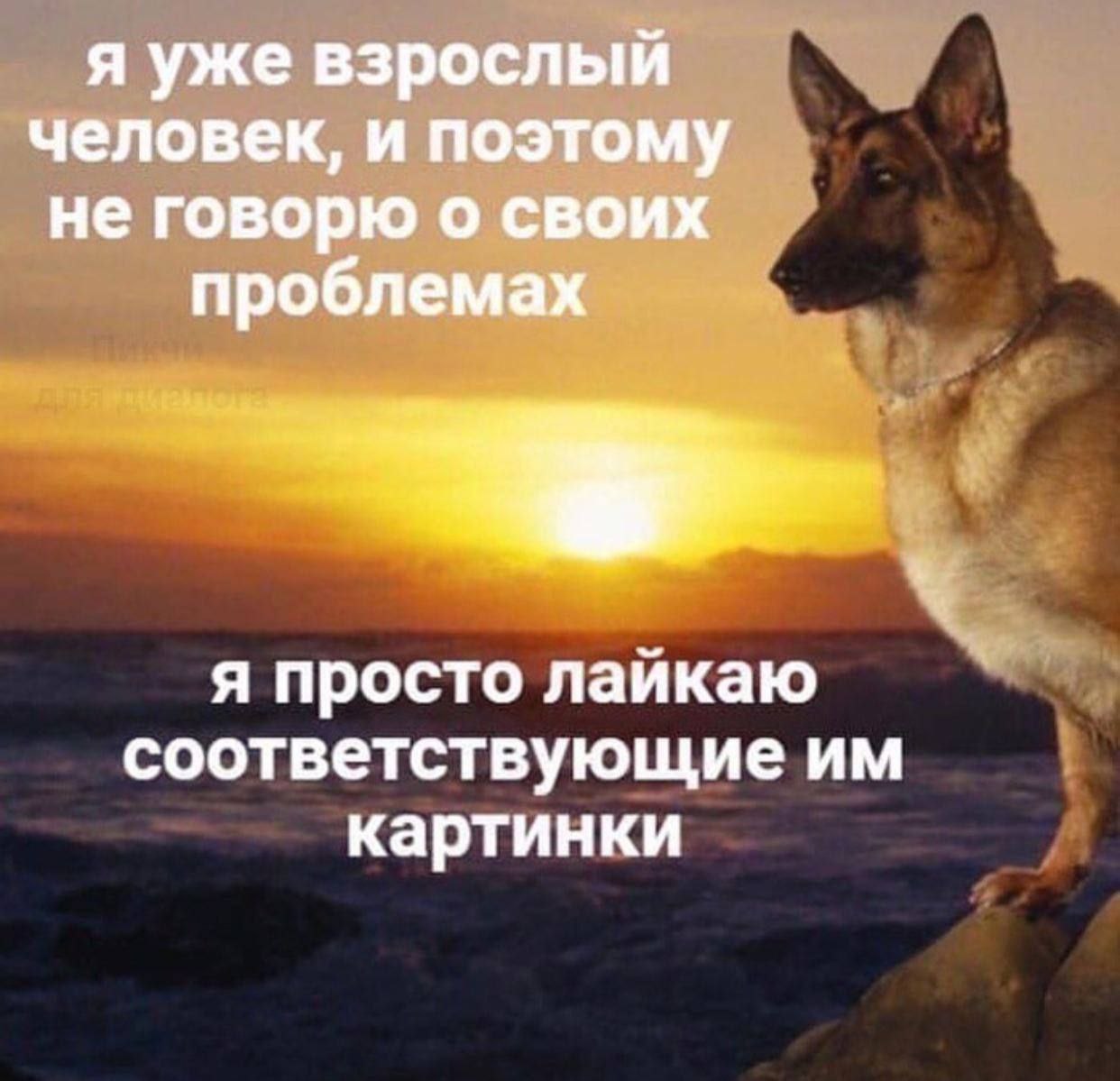 я уже взрослый человек, и поэтому не говорю о своих проблемах я просто лайкаю соответствующие картинки