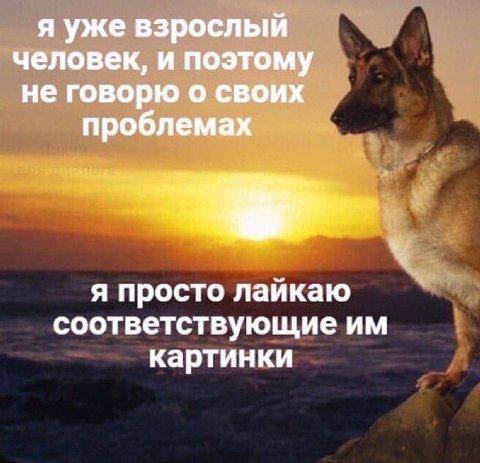 я уже взрослый человек, и поэтому не говорю о своих проблемах я просто лайкаю соответствующие картинки