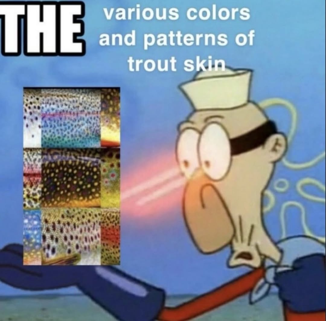 various colors THE and patterns of trout