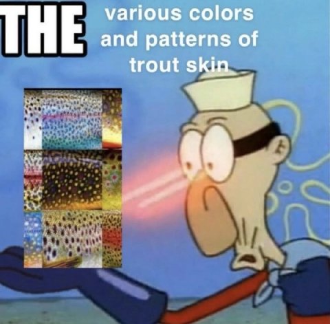 various colors THE and patterns of trout