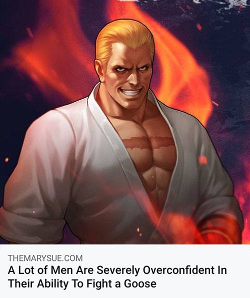 THEMARYSUE.COM A Lot of Men Are Severely Overconfident In Their Ability To Fight a Goose