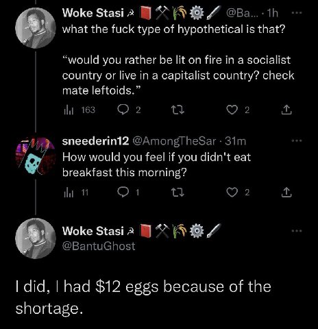 Woke Stasi а what the fuck type of hypothetical is that? “would you rather be lit on fire in a socialist country or live in a capitalist country? check mate leftoids.” sneederin12 How would you feel i