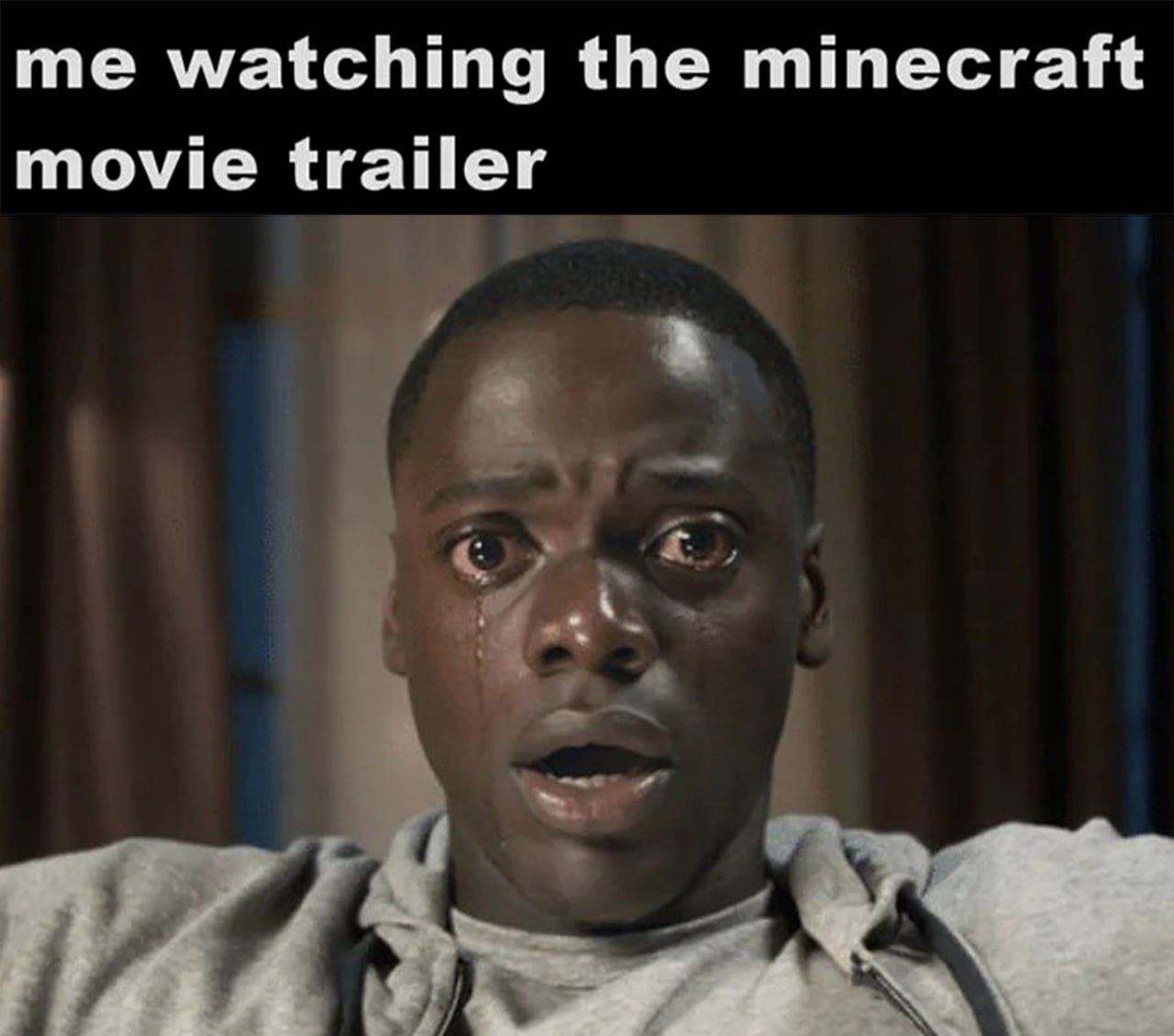 me watching the minecraft movie trailer
