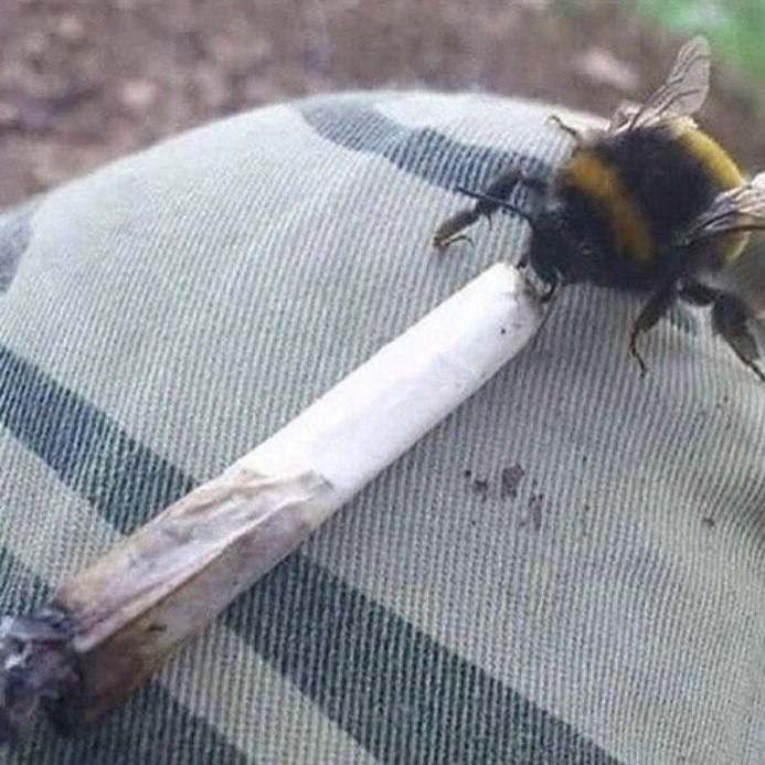 это все я в ближайших параллельных вселенных: