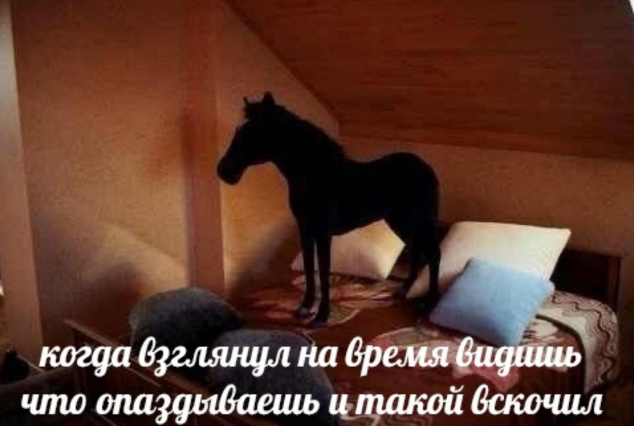 когда бэглянул на бремя видишь что опаздыбаешь и такой бскочил