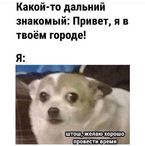 Какой-то дальний знакомый: Привет, я в твоём городе! Я: хорошо, зремя