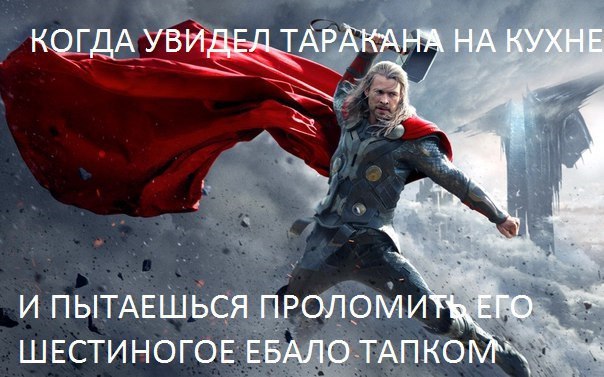 КОГДА УВИДЕД ТАРАКАН® НА КУХНЕ И ПЫТАЕШЬСЯ ШЕСТИНОГОЕ ЕБАЛО