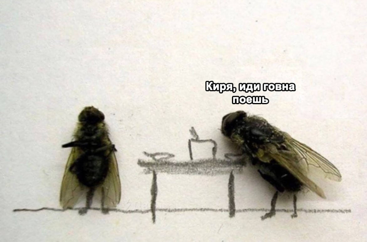 Кире