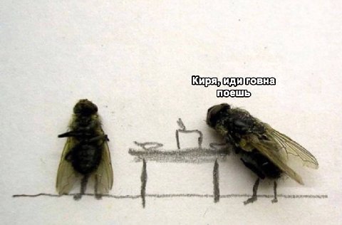 Кире