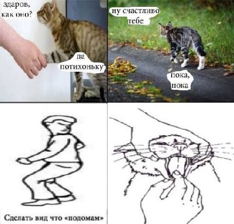здаров, ну счастливо как оно? ебе a a у 7 Сделать вид что «подомам»